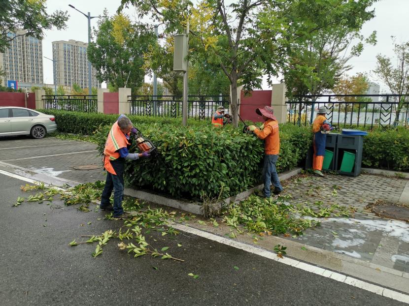 香港宝典资料大全7401