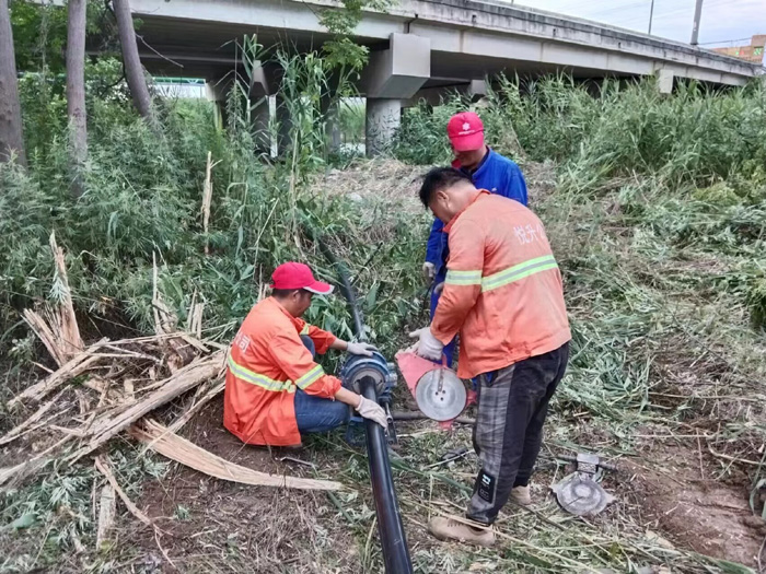 香港宝典资料大全7401